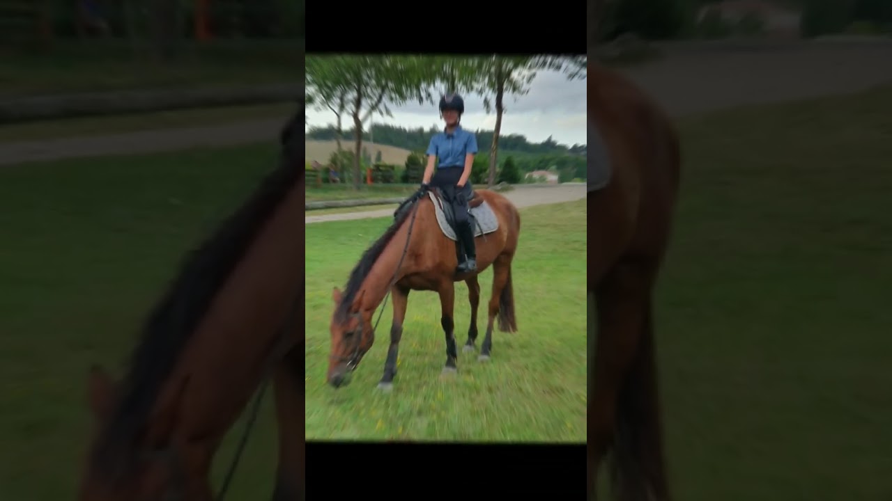 REVEAL VAN MIJN EIGEN PAARD!!❤ ik hoop dat julie hem leuk vinden