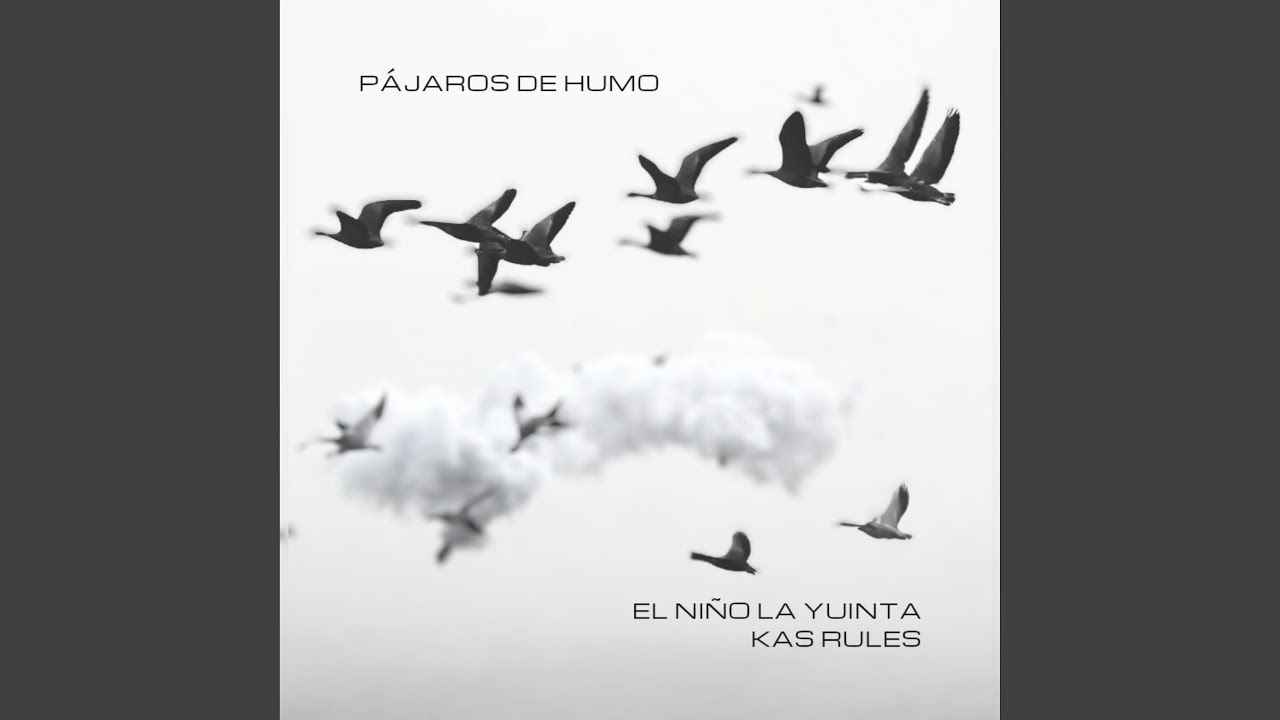 Pajaros de Humo