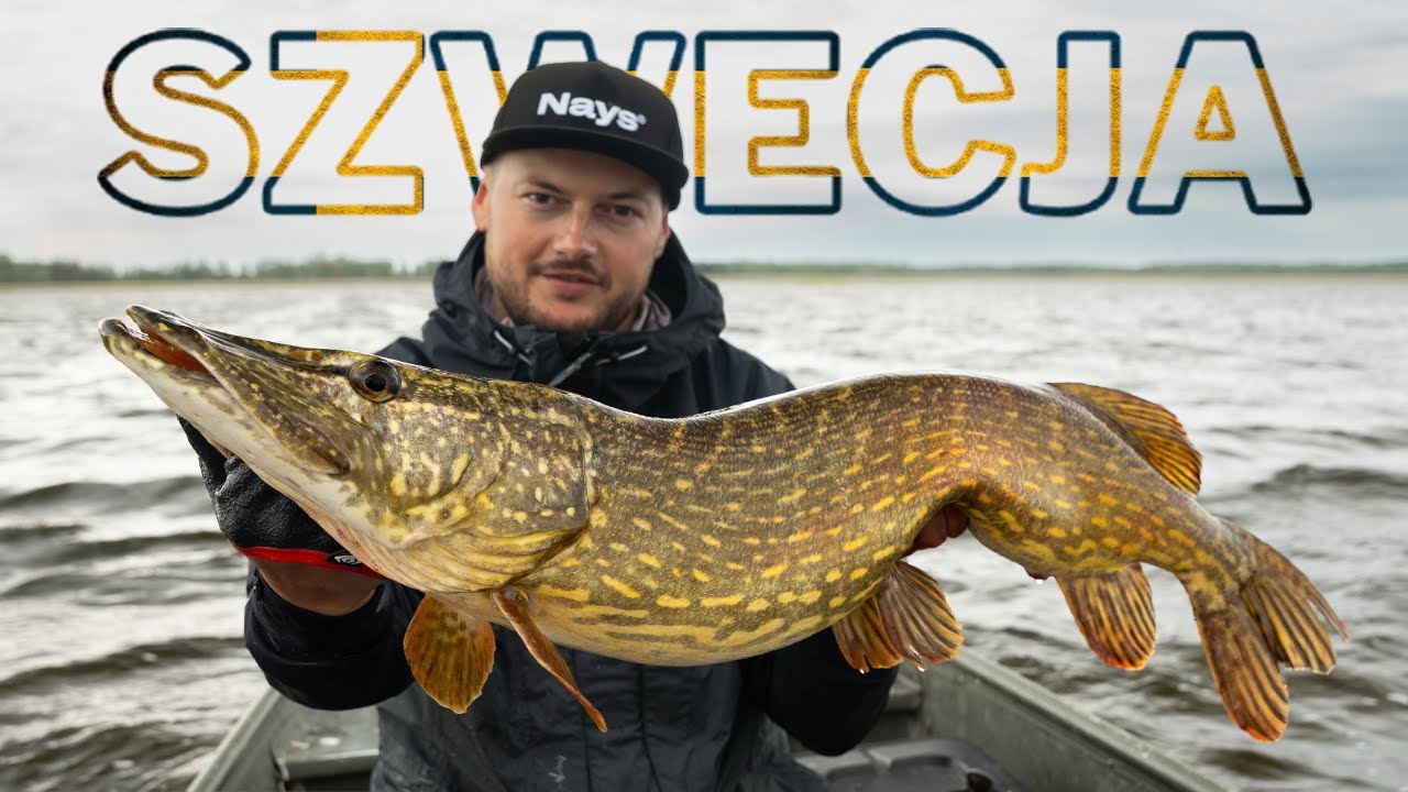 Grube SZCZUPAKI z płytkiej wody! Wyprawa do Szwecji odc.1 / KONKURS!