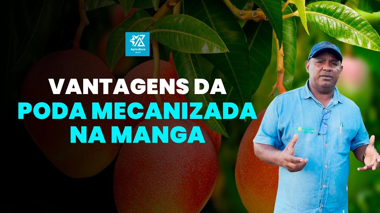 Poda Mecanizada na Manga: Vantagens que Aumentam Produtividade e Reduzem Custos