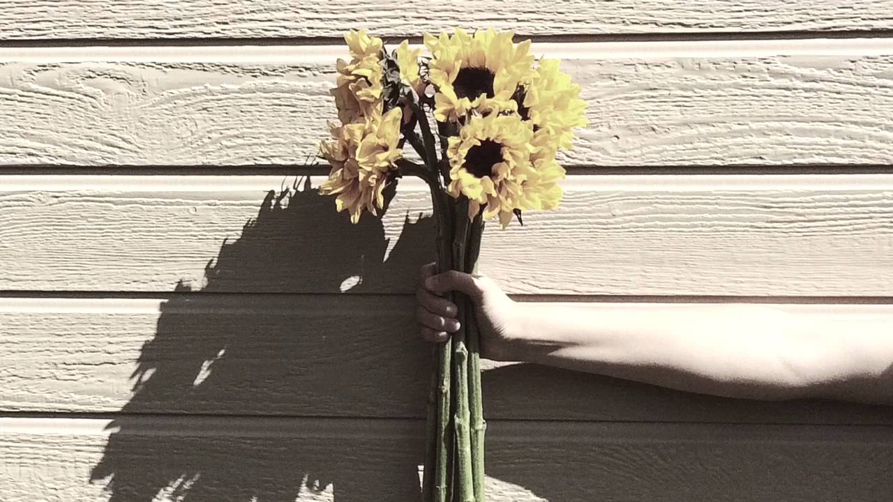 Bones/ Kenzie Nimmo (Cover)