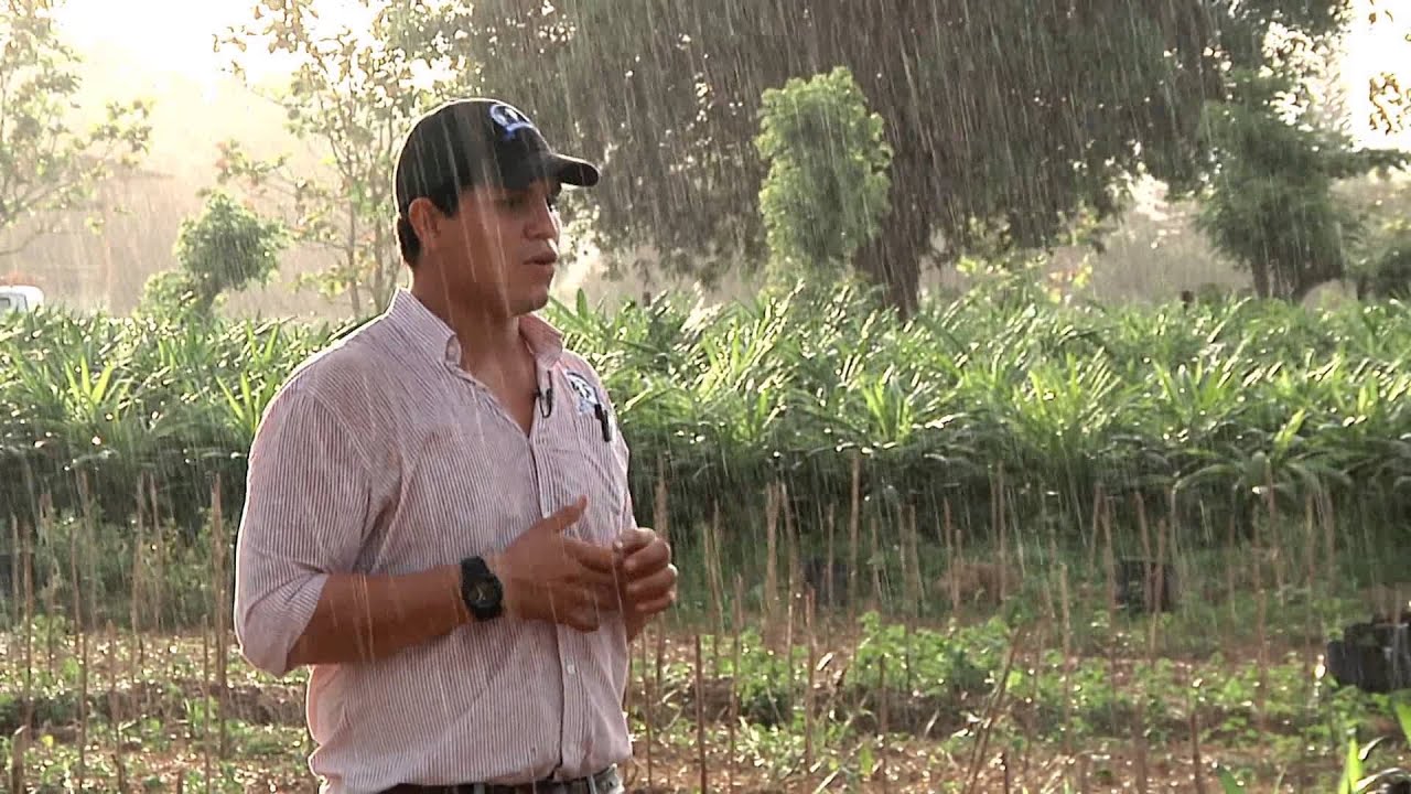 Escuela de Campo - Previvero y Vivero de Palma de Aceite - 13 de diciembre