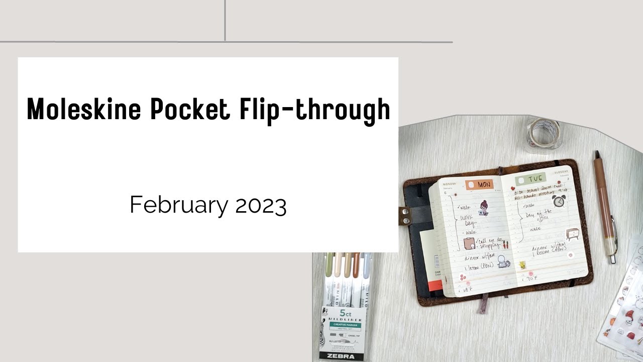 Moleskine Pocket Daily Planner Flip Through - February 2023 + New Cover #moleskine
