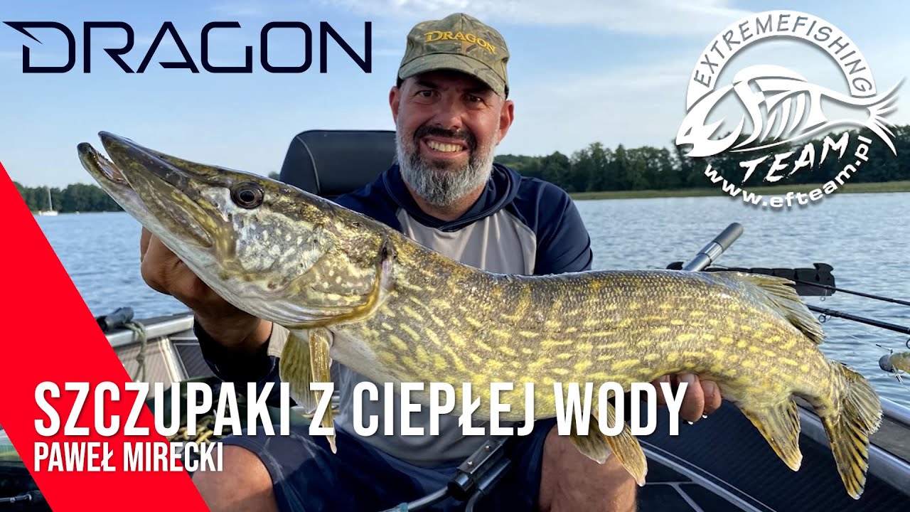 Szczupaki z ciepłej wody