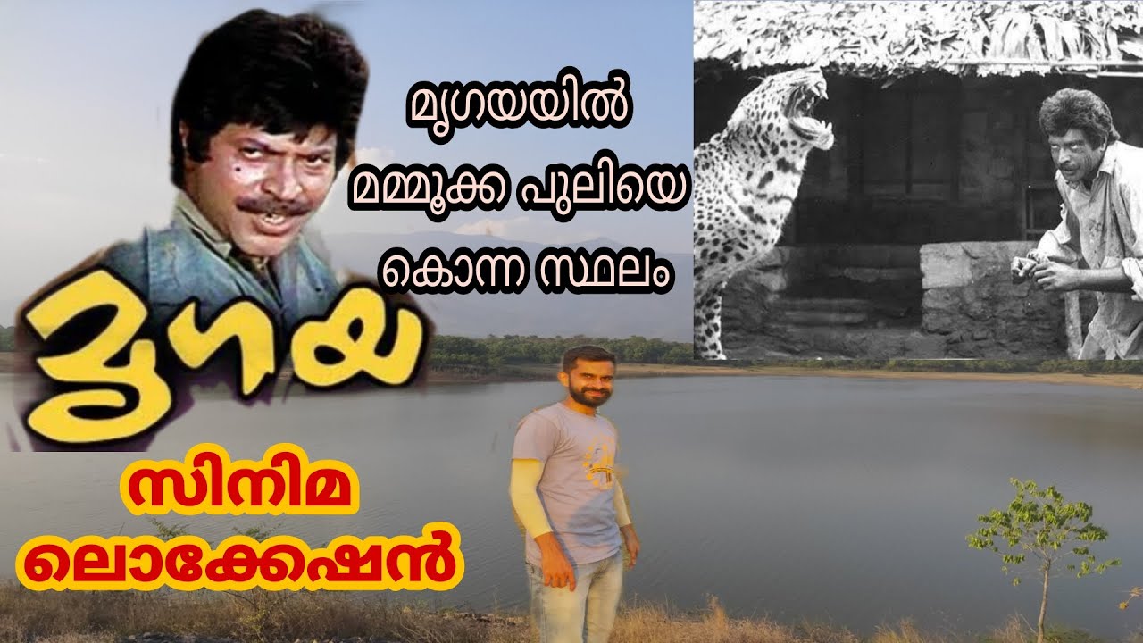 മൃഗയ സിനിമ ലൊക്കേഷൻ|Mrugaya shooting location| മൃഗയയിൽ മമ്മൂക്ക പുലിയെ കൊന്ന സ്ഥലം|Kava|Mammootty🔥🔥