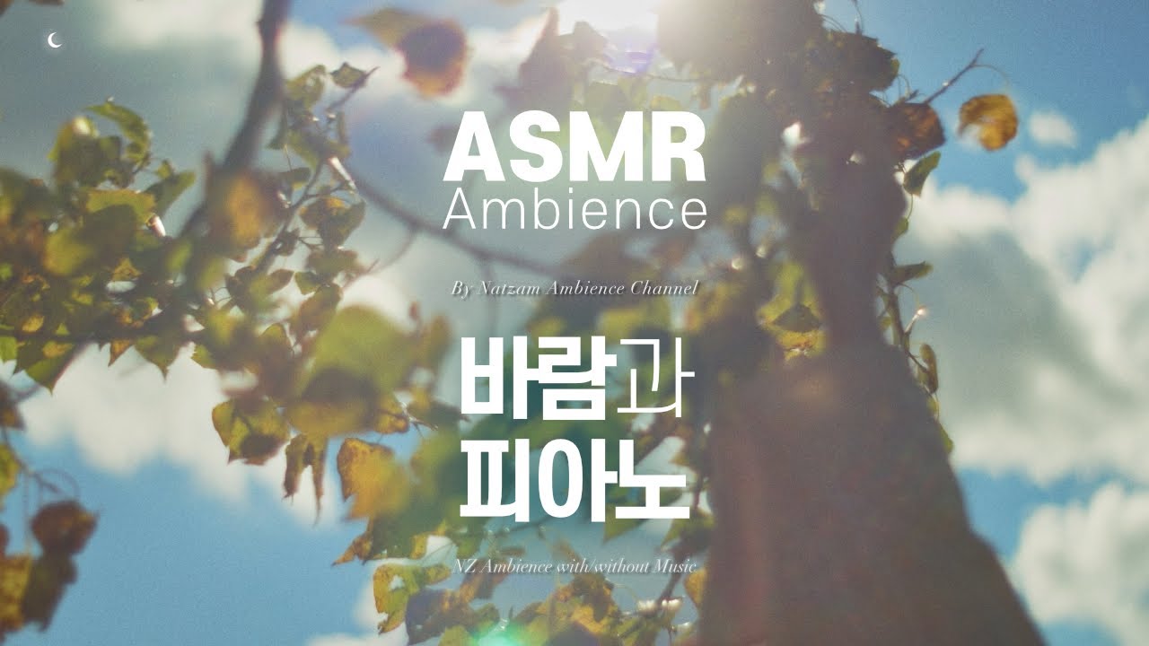 막막해서 도망치고 싶은 기분일 때 만든 영상🌙부드러운 바람과 피아노 ASMR