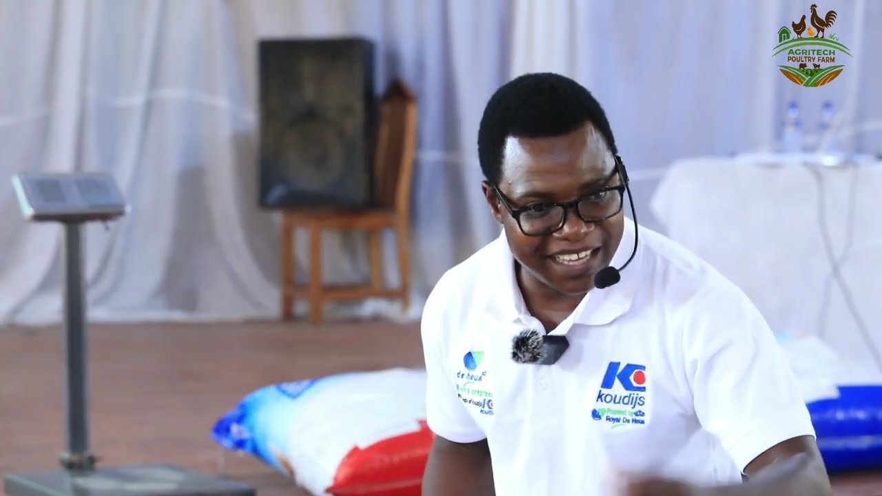 MASOMO KUHUSU ULISHAJI WA KUKU, KWA TUMIA CHAKULA BORA .(Part 1)