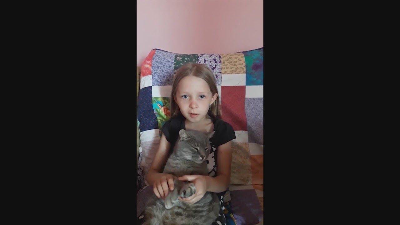 Cat returned to Ukrainian refugee family relocated to Bay Area
