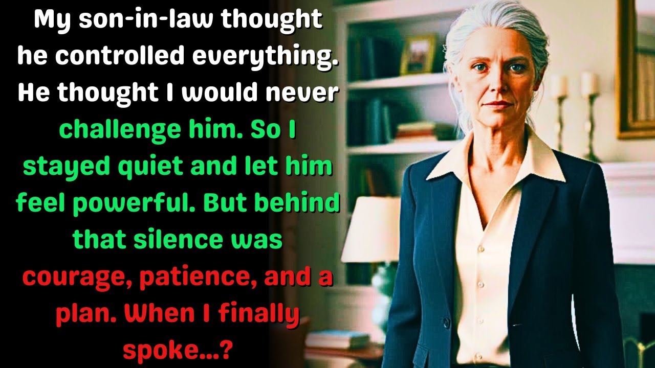 My Son-in-Law Thought I Was Weak — He Never Expected What My Silence Would Do?