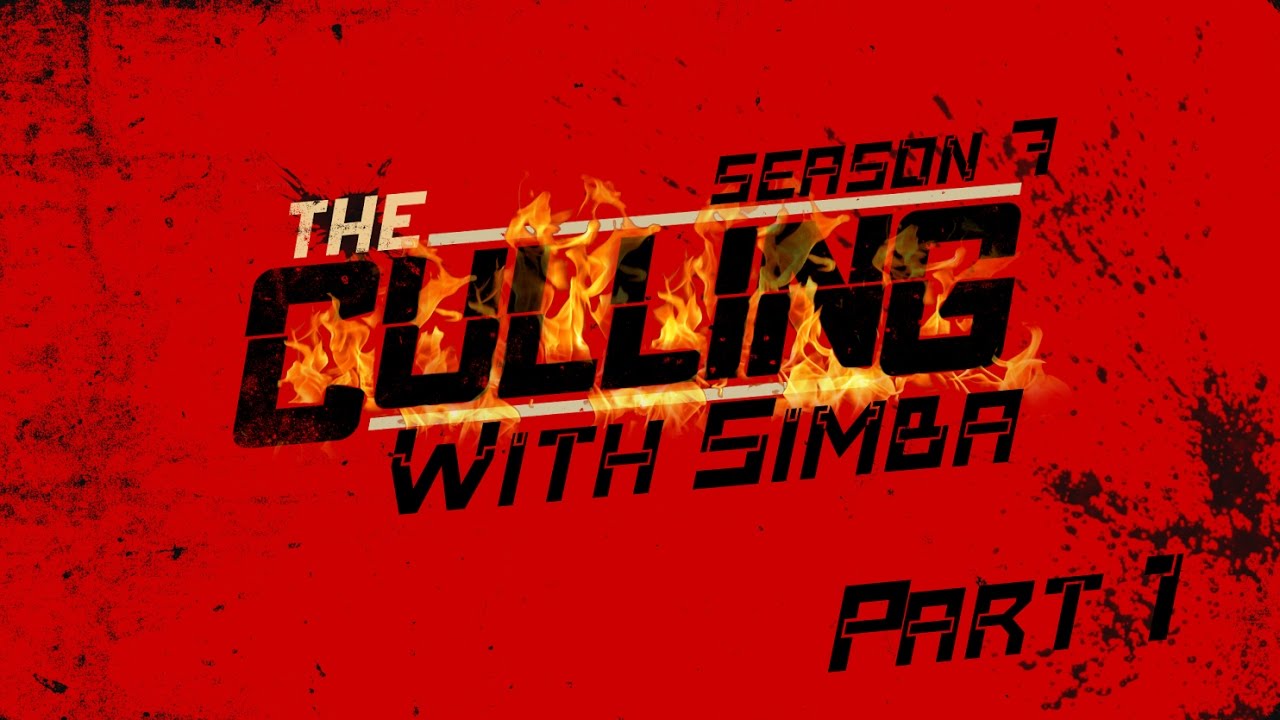 The Culling: Ночные БОМБЯЩИЕ катки! Выпуск 1