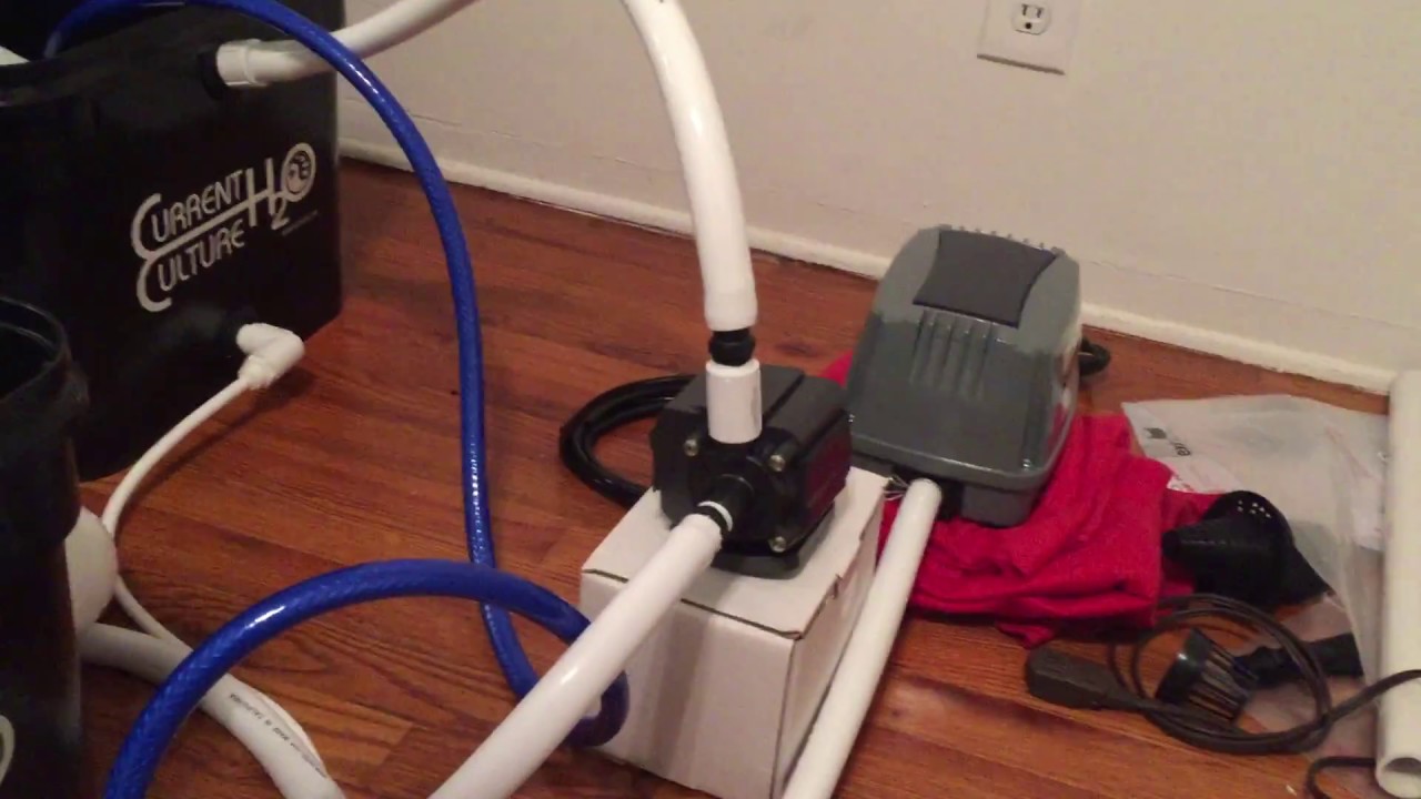 Testing the Current Culture Hydroponic UC8 System for water leaks