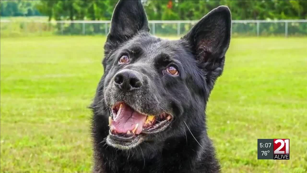 Allen County K-9 deputy Cato retires after years of service
