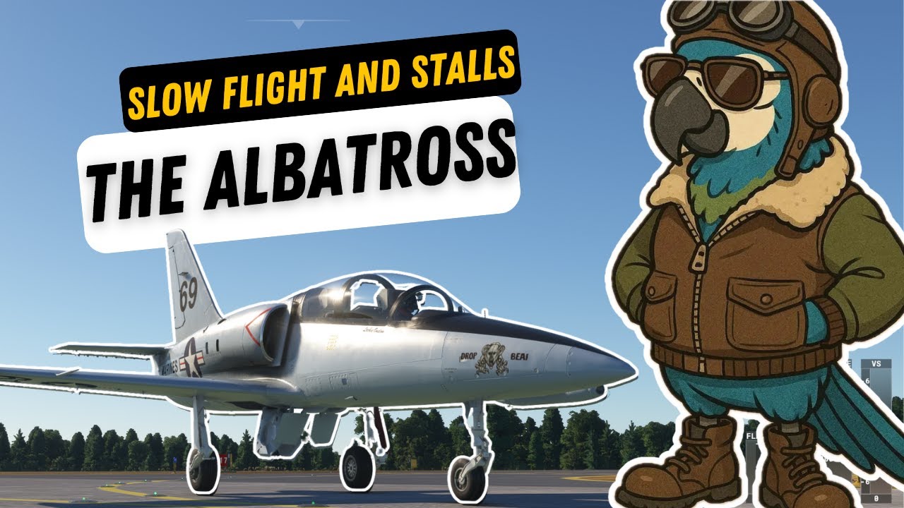 Full Flight Cockpit Video L39 Albatross with CFI