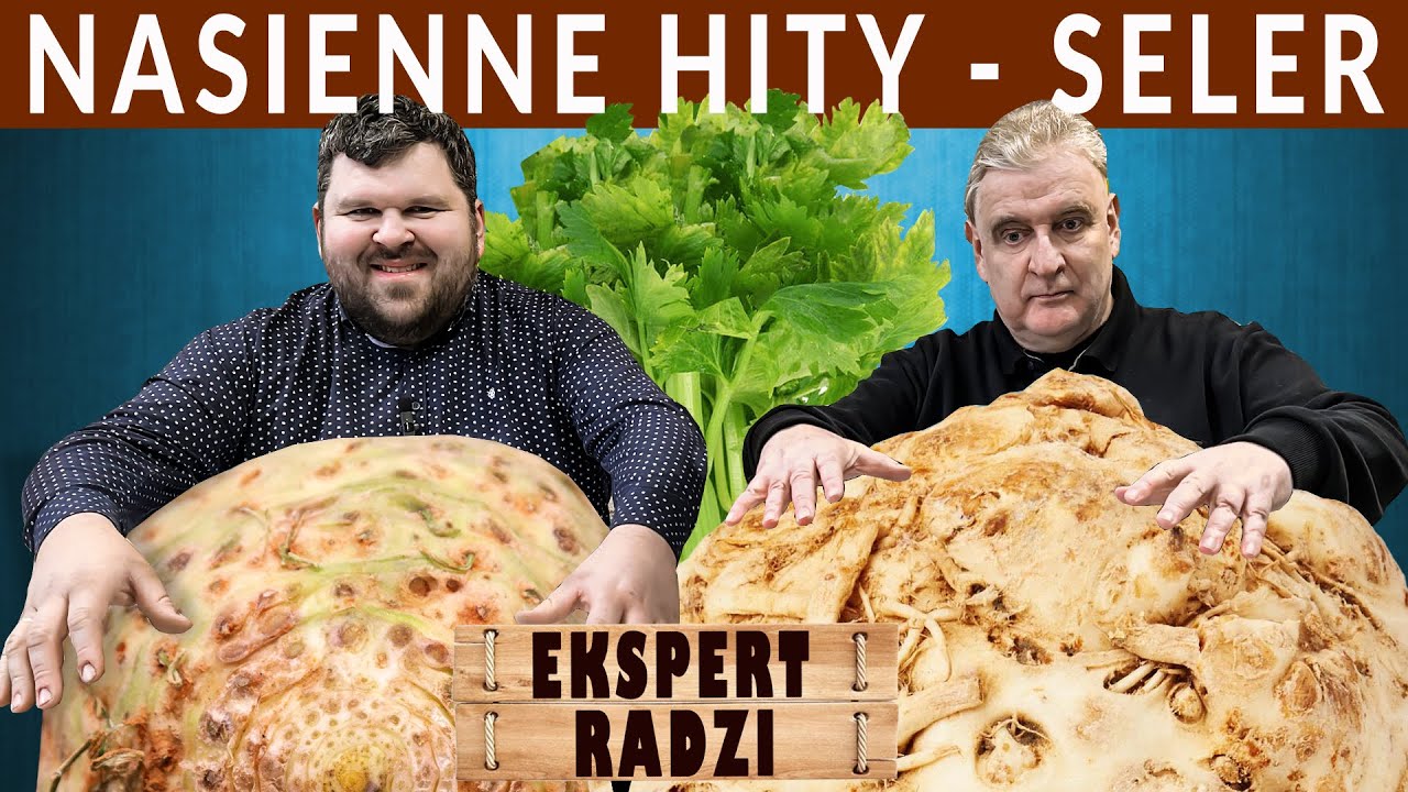 Najlepsze, sprawdzone odmiany selera do wysiewu. Porady eksperta.