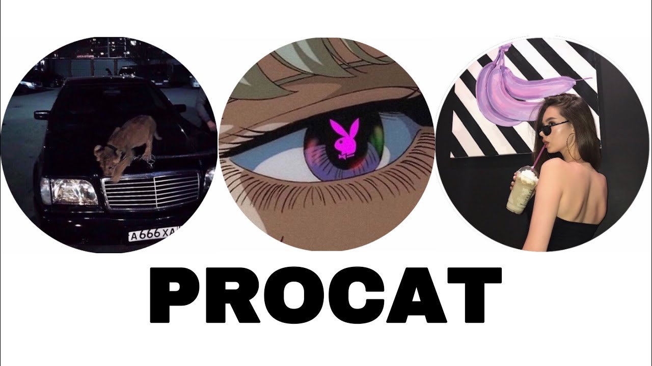 Petridish.Pw CrazySplit - Best Mobile Player?! ''Procat'' (Top 3)