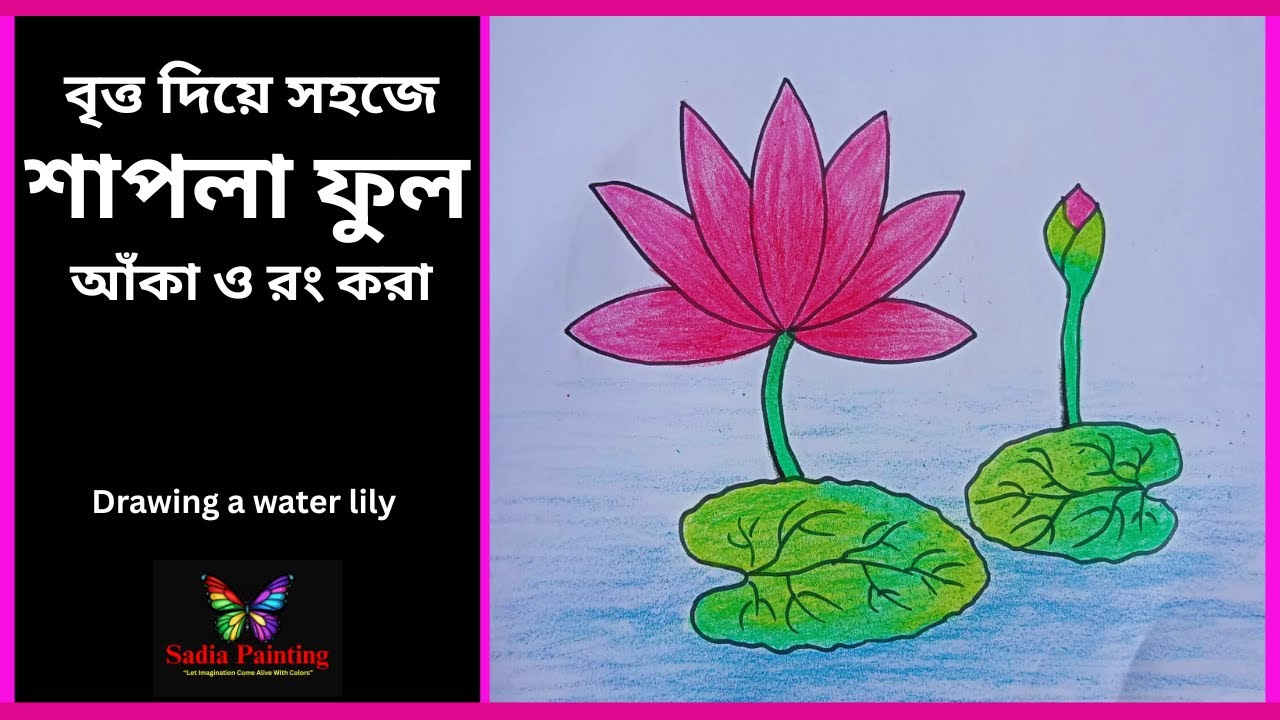 how to draw water lily easy | water lily drawing | খুব সহজে শাপলা ফুল আঁকা ও রং করা | Sadia Painting