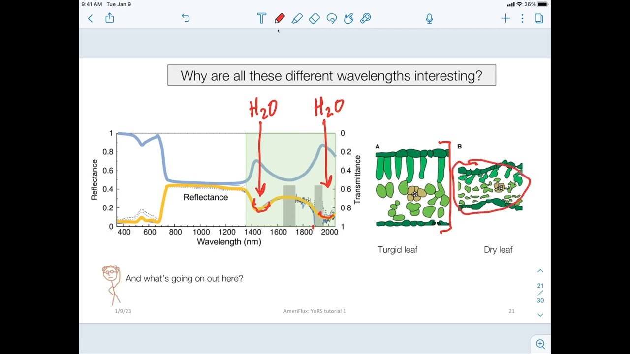 Year of Remote Sensing Tutorial Series #1: Theory of remote sensing as it applies to fluxes