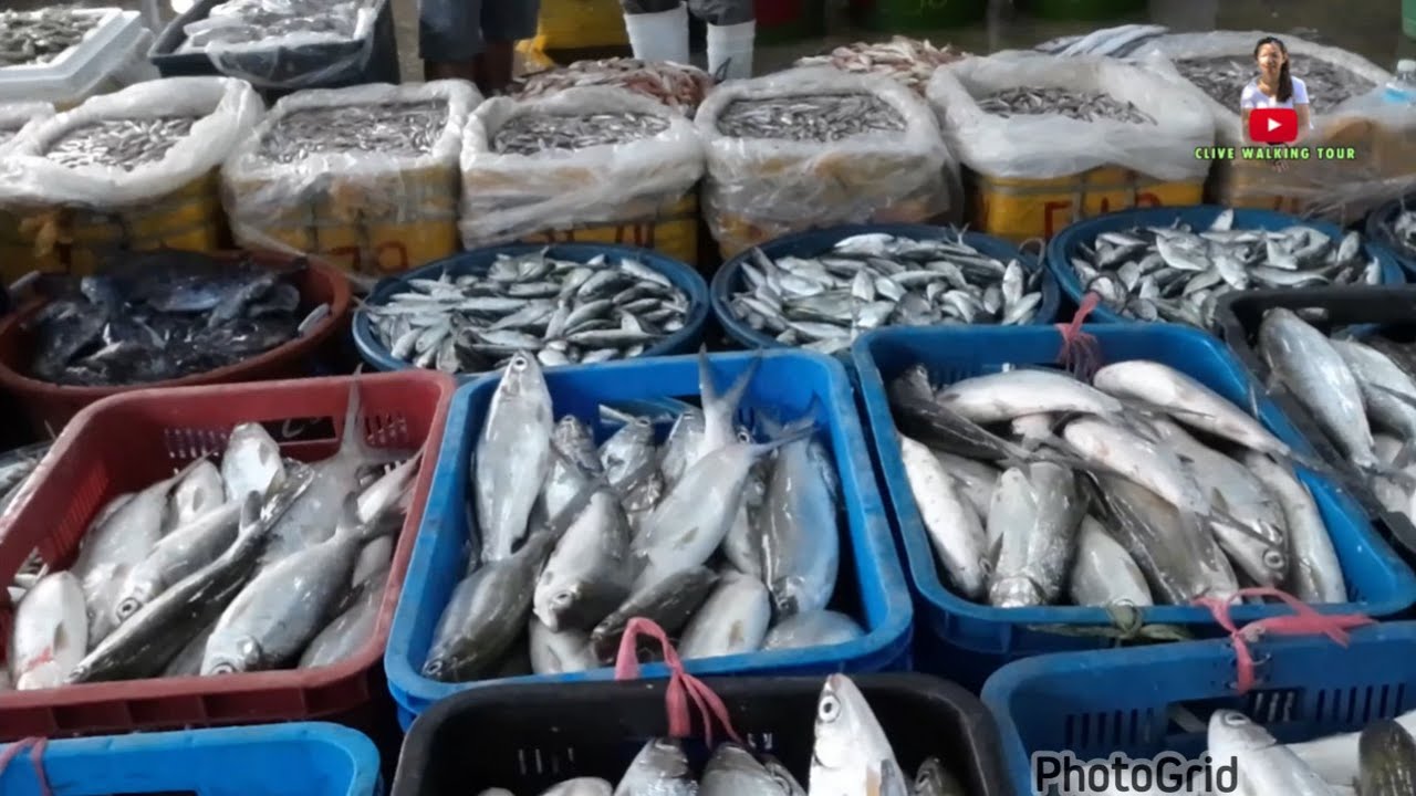 ILOILO FISH PORT COMPLEX - TANZA, ILOILO CITY JULY 2023 VIRTUAL TOUR