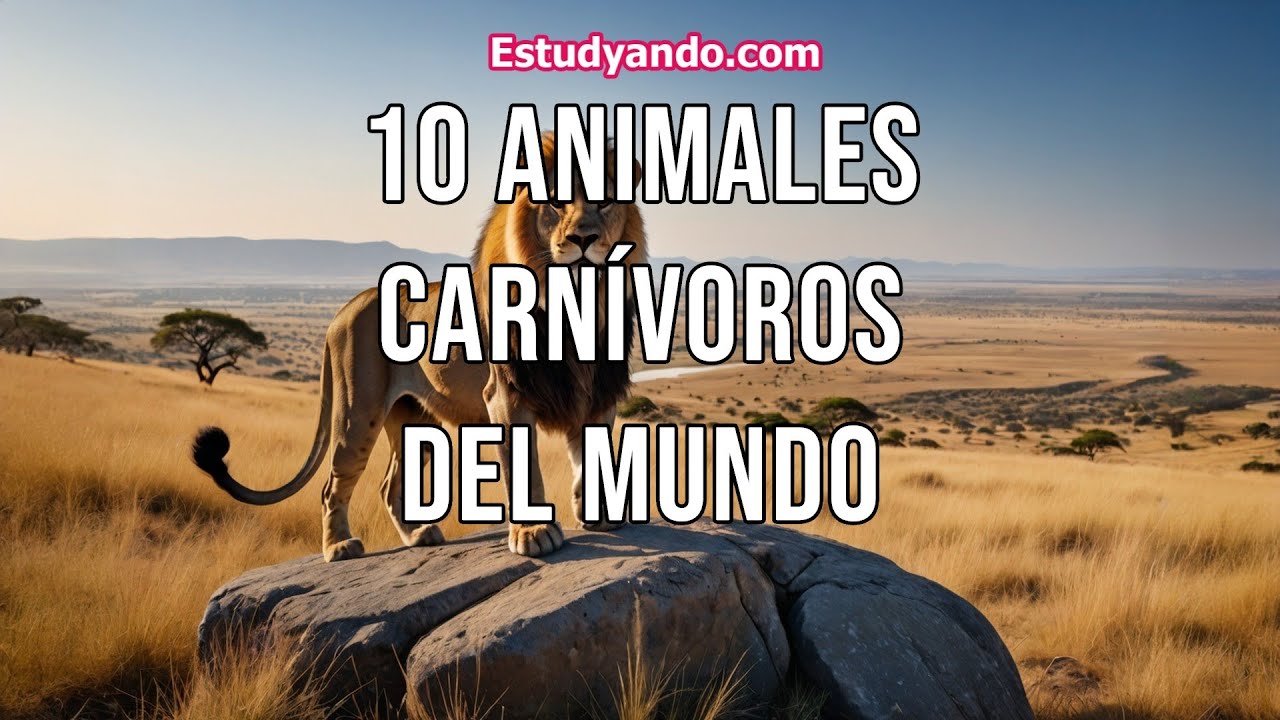 10 Animales Carn&iacute;voros del Mundo