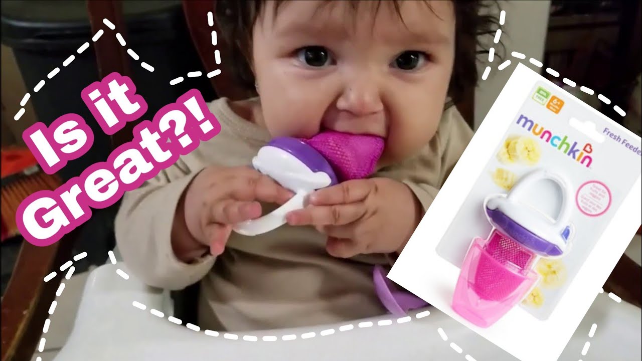 Munchkin Fresh Feeder Review 6+ Months | Baby Friday's