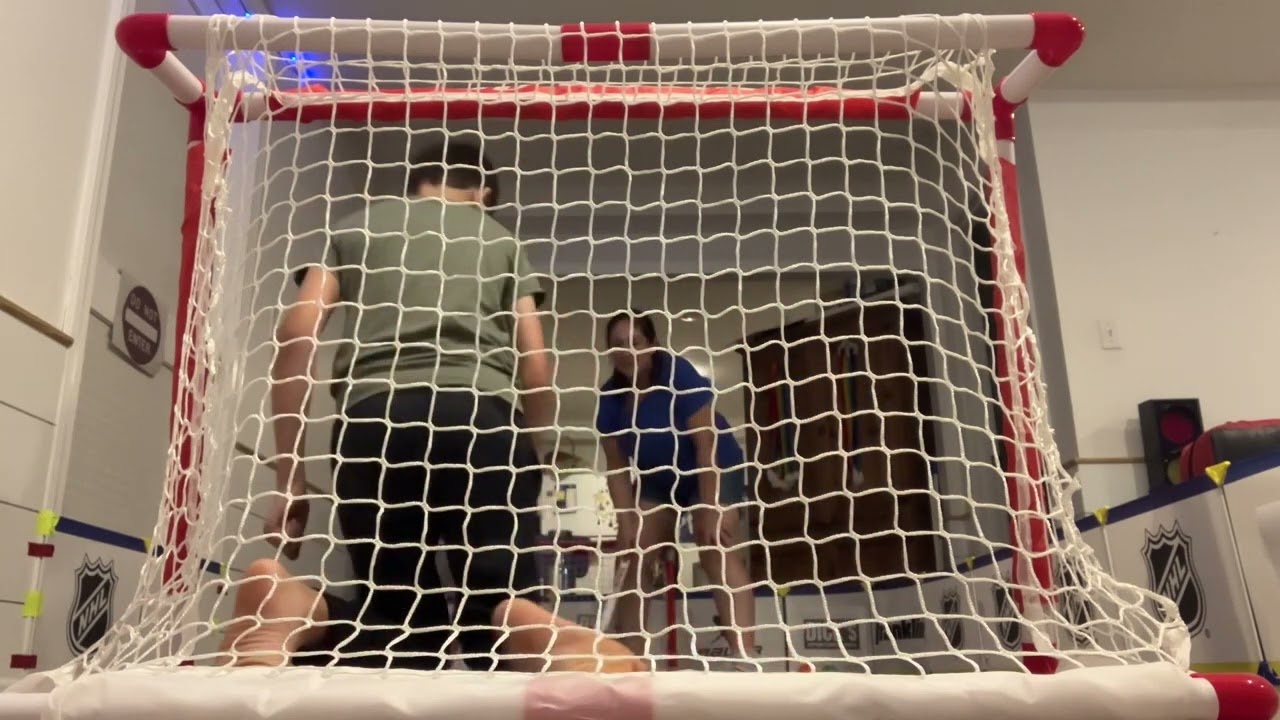 20 Shot Knee Hockey Challenge With Goalie Perspective!