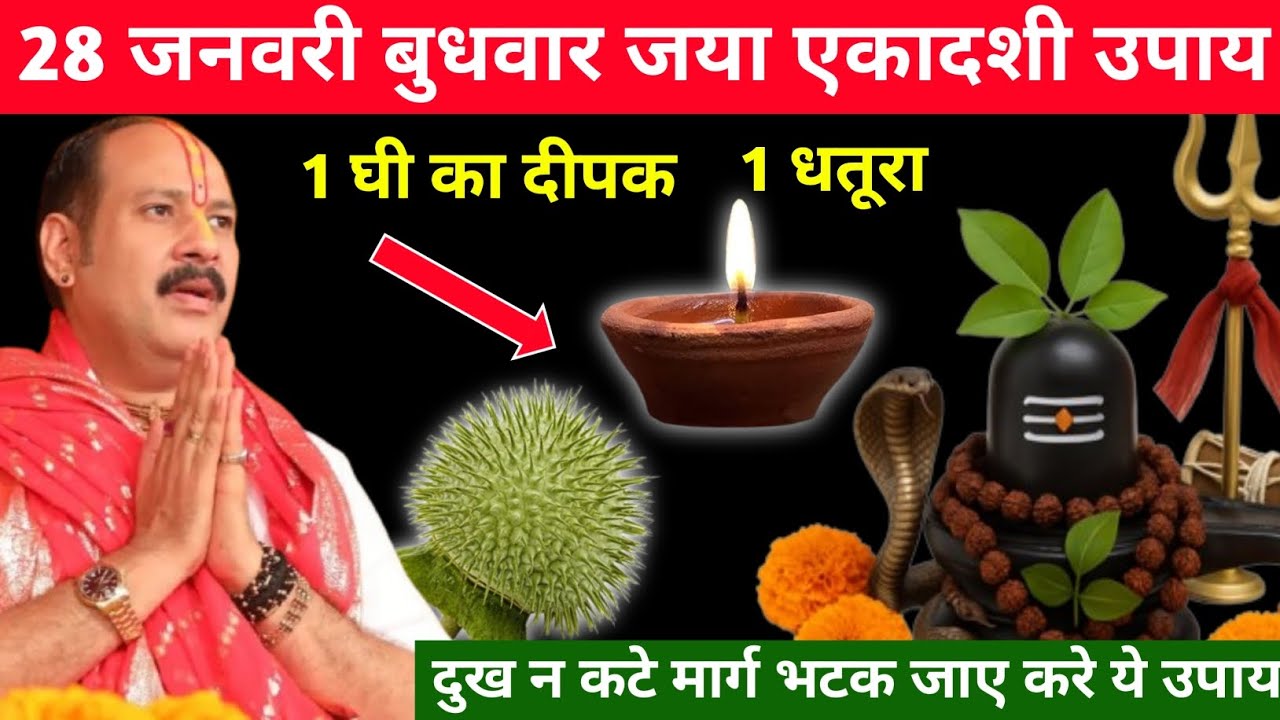 28 जनवरी बुधवार जया एकादशी उपाय || 1 घी का दीपक 1 धतूरा का उपाय || @panditpradeepmishraofficial 