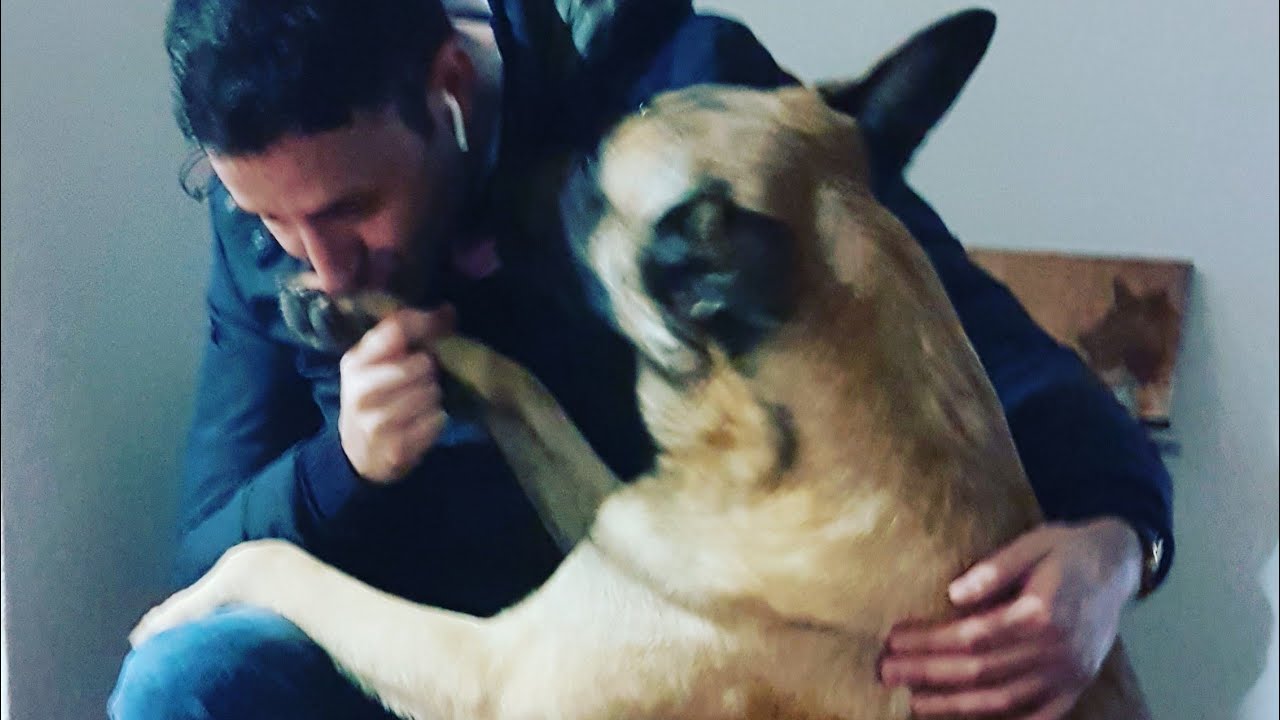 متى وكيف تعطي كلبك المكافأة مع خالد بادي 🐶 comment récompenser un chien