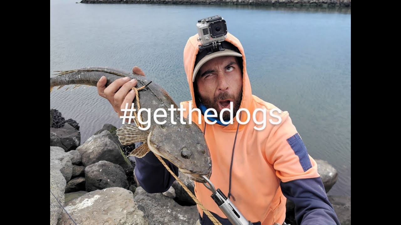WYNDHAM HARBOUR ROCK WALL FLATHEAD ON SOFT PLASTICS