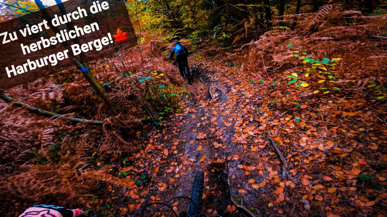 Zu viert durch die herbstlichen Harburger Berge!
