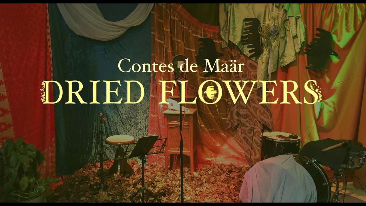 Dried Flowers (directe/live) - CINTA