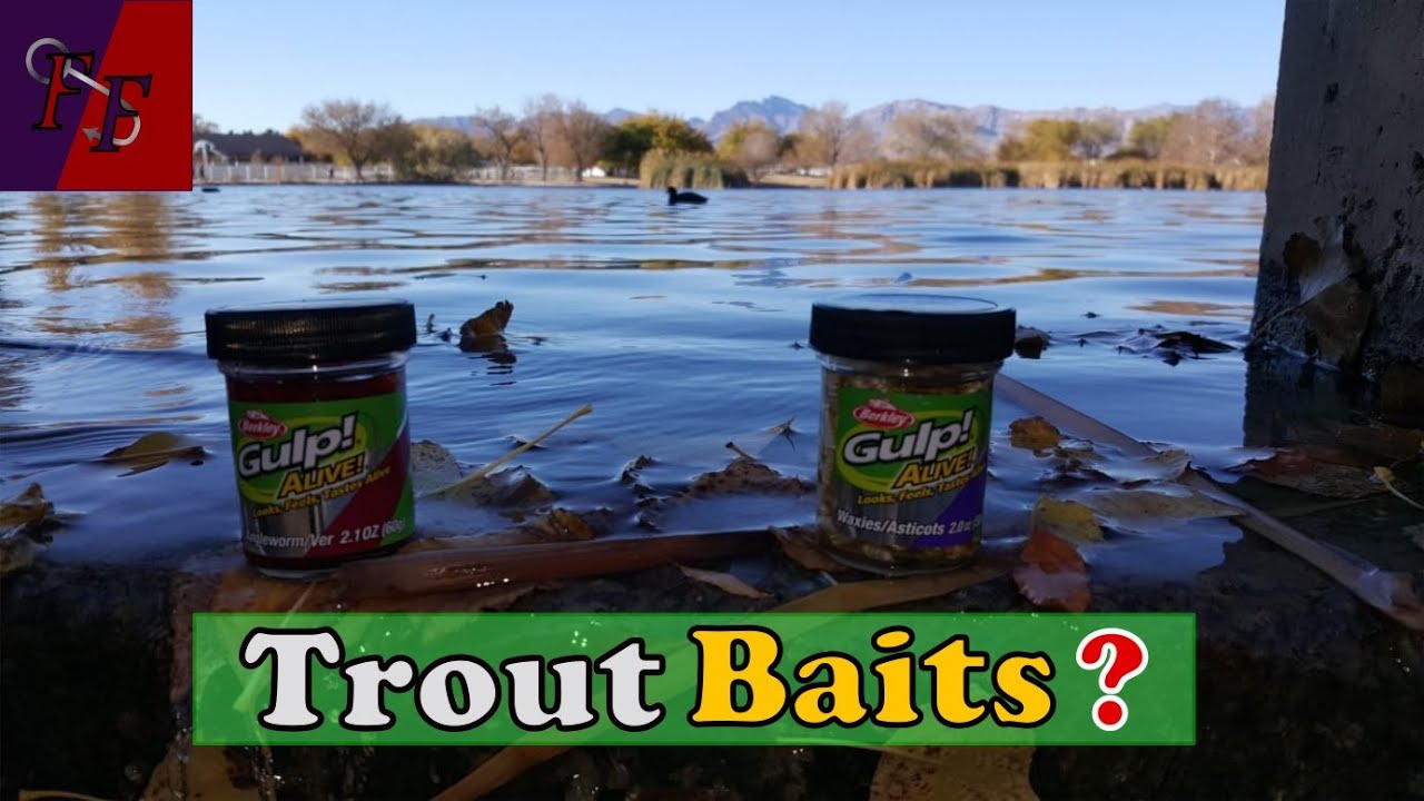 Testing different baits for trout at Floyd Lamb Park