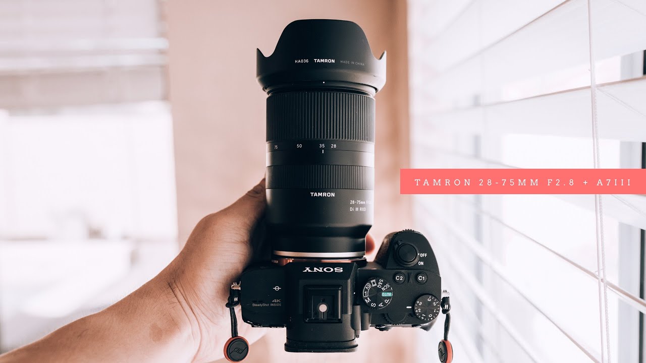 Tamron 28-75mm f2.8 + Sony A7III Auto Focus Test | *FIRMWARE UPDATE*