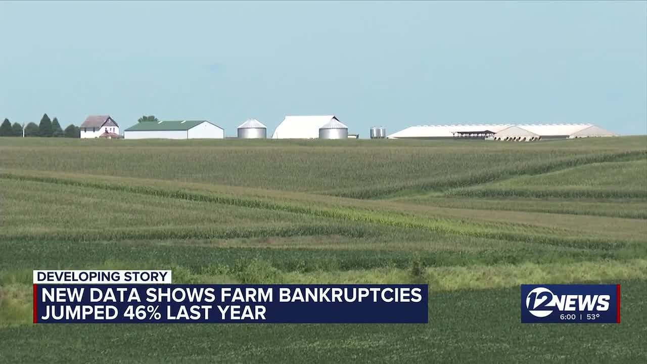 Kansas farm bankruptcies surge as mental health crisis deepens