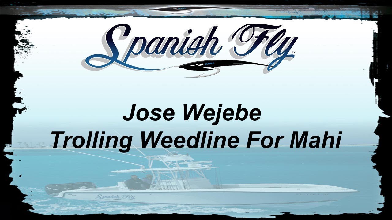 Trolling Weed Line for Mahi Mahi or Dolphin- Spanish Fly TV/ Jose Wejebe