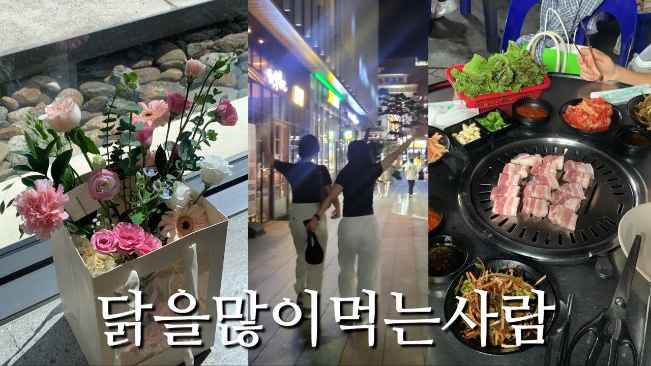 2025.08 한달 영상일기 | 닭 몇마리 먹나 세어보소, 삿포로 유바리 메론, 옛날통닭, 카페 운중동, 받터, 용산은행나무포차, 용산술집추천, 길빵
