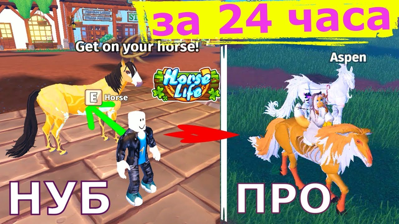 Тутор для Новичка! Лайфхаки! Журнал Квестов Подробное Руководство! Как Разблокировать ВСЕ Horse Life