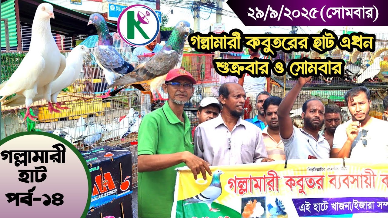 গল্লামারী কবুতরের হাট (পর্ব-১৪)।।Gollamari Pigeon Market, khulna।।কবুতরের হাট।।local pigeon Market