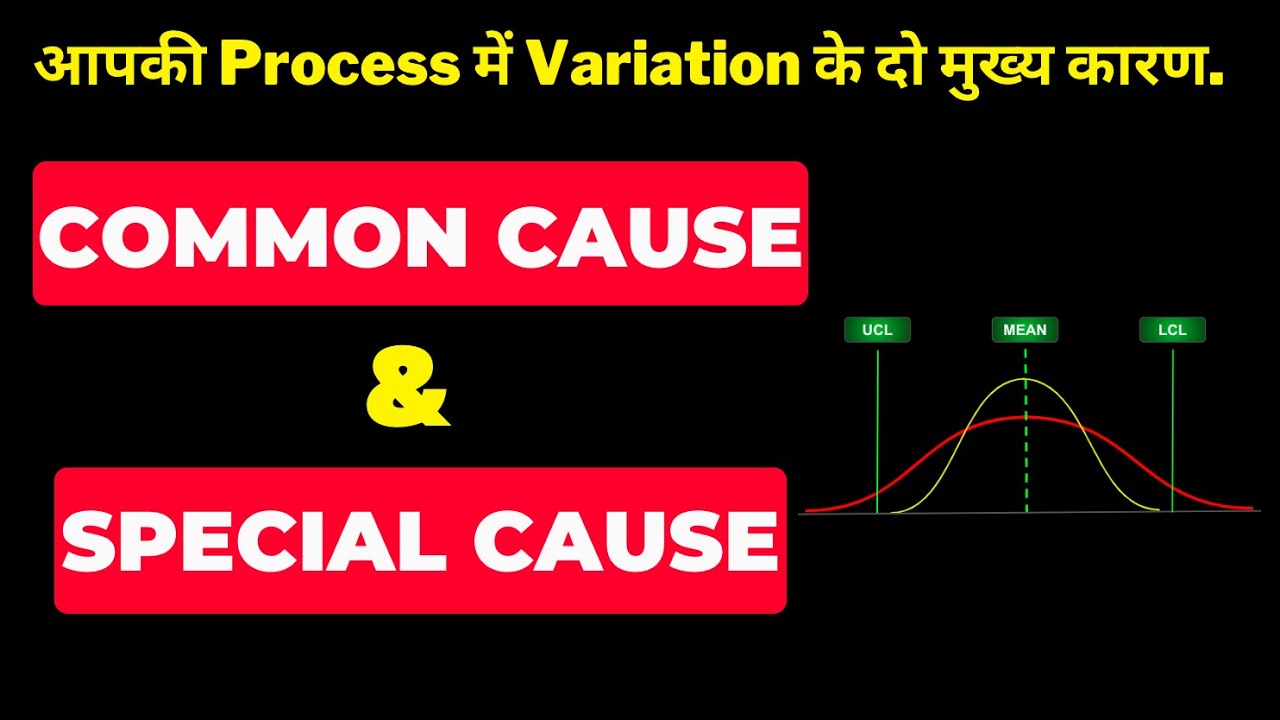 Common Cause & Special Cause | Process Variation | Leanseekho