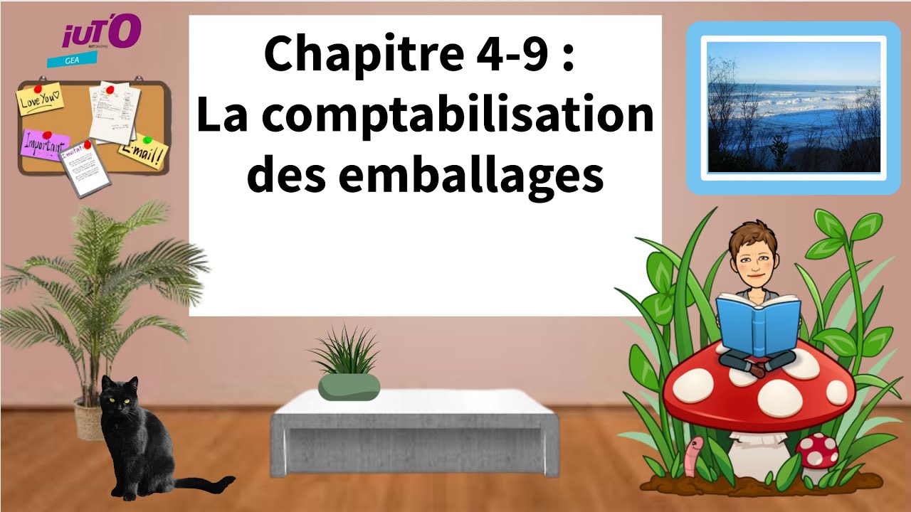 Cours de comptabilité financière :  La comptabilisation des emballages