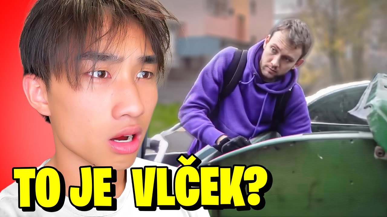 Jak Dopadli Čeští Youtubeři?
