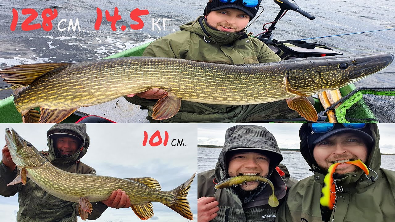 Щука МОНСТР на крупный силикон Pig Shad! оз.