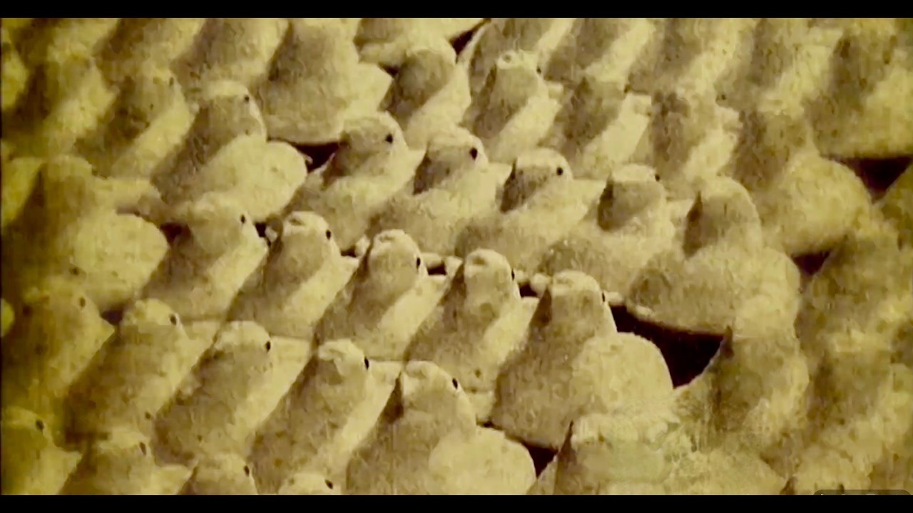 Triumph of the Peeps