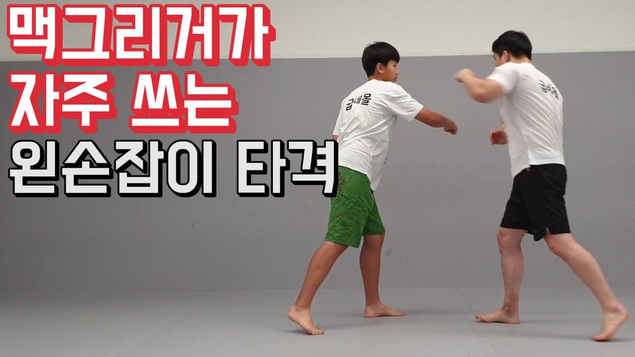 코너 맥그리거 따라잡기! 왼손잡이 타격의 기본기