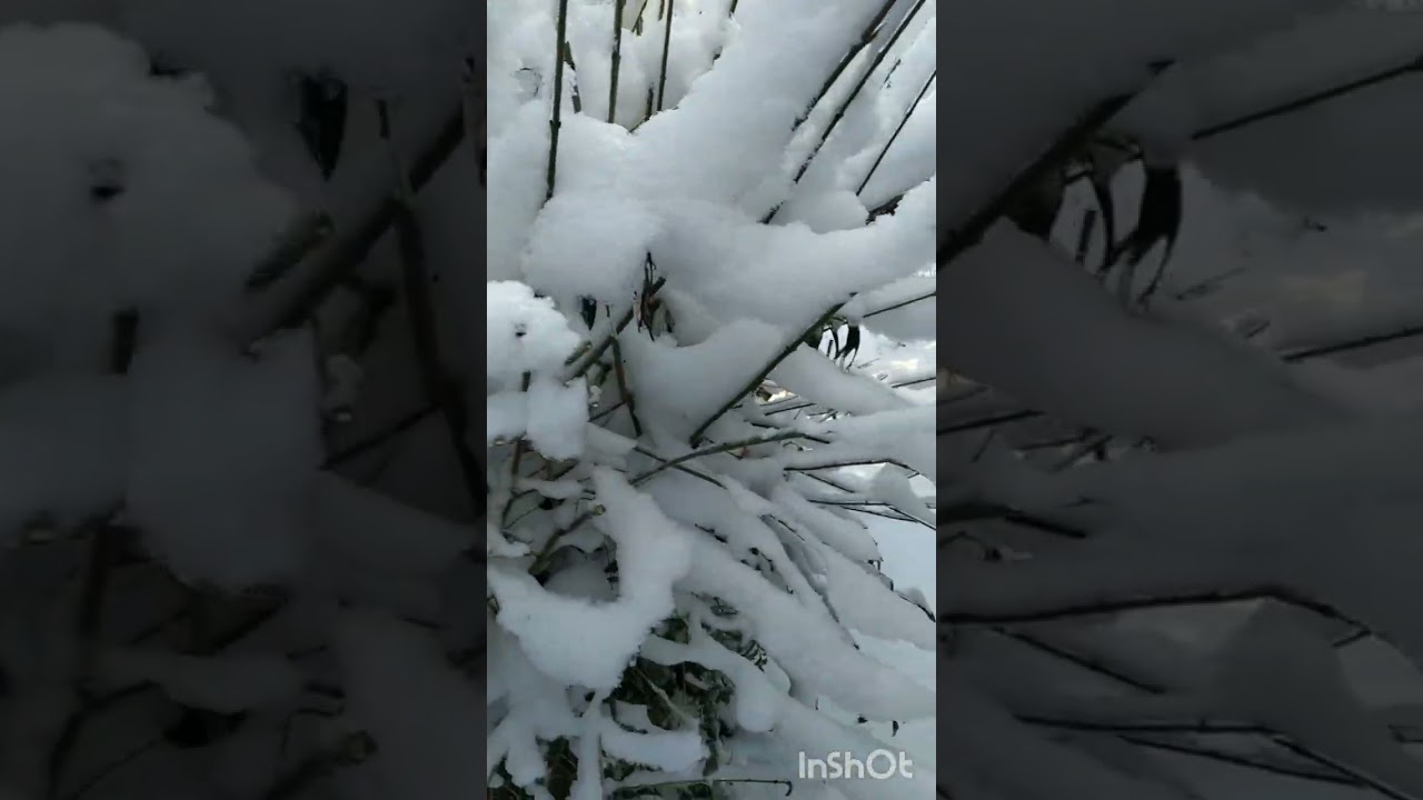 Яких жінок бояться втратити
