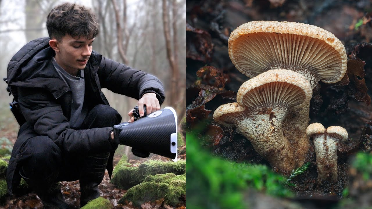 Can You Do Macro Photography In The Winter?