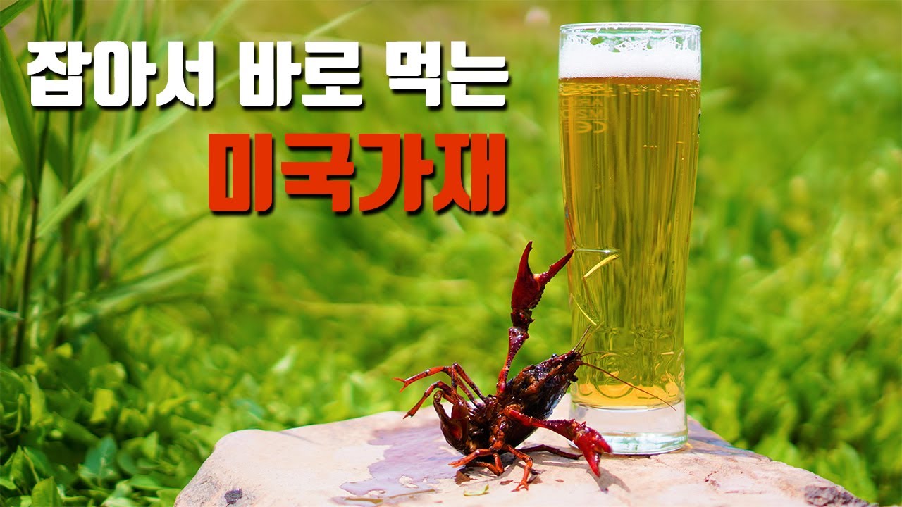 [안주는셀프] 오늘의 안주는 미국가재 풀코스로 준비했습니다.
