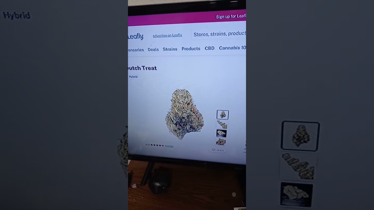 Dutch Treat (hybrid)