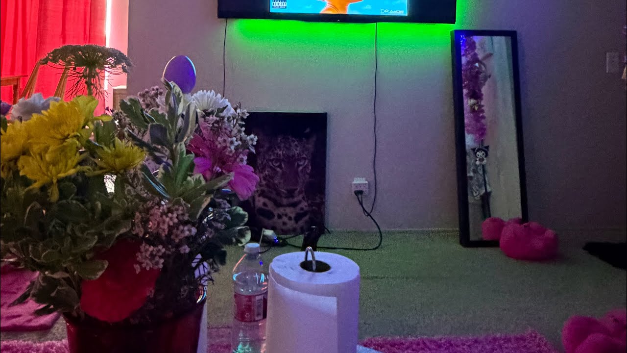 🫟 LEDs💡On The TV  🖥️