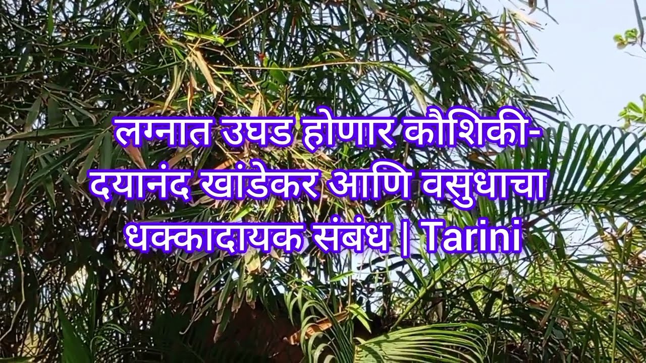 महाएपिसोड धमाका: लग्नात उघड होणार कौशिकी-दयानंद खांडेकर आणि वसुधाचा धक्कादायक संबंध | Tarini