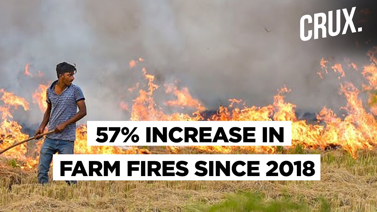 Why Is There An Increase In Punjab Farm Fires This Year?